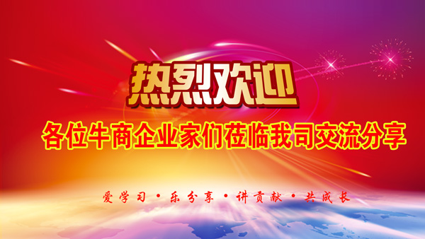 六安電商沙龍會議.jpg