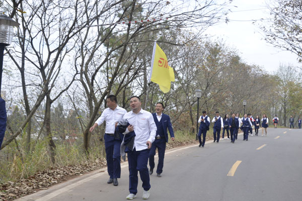 陽光行、快樂游