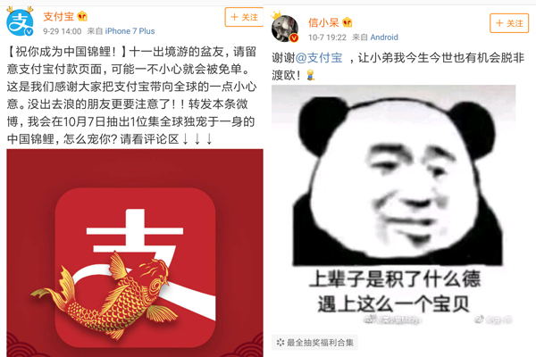 支付寶轉發(fā)錦鯉活動